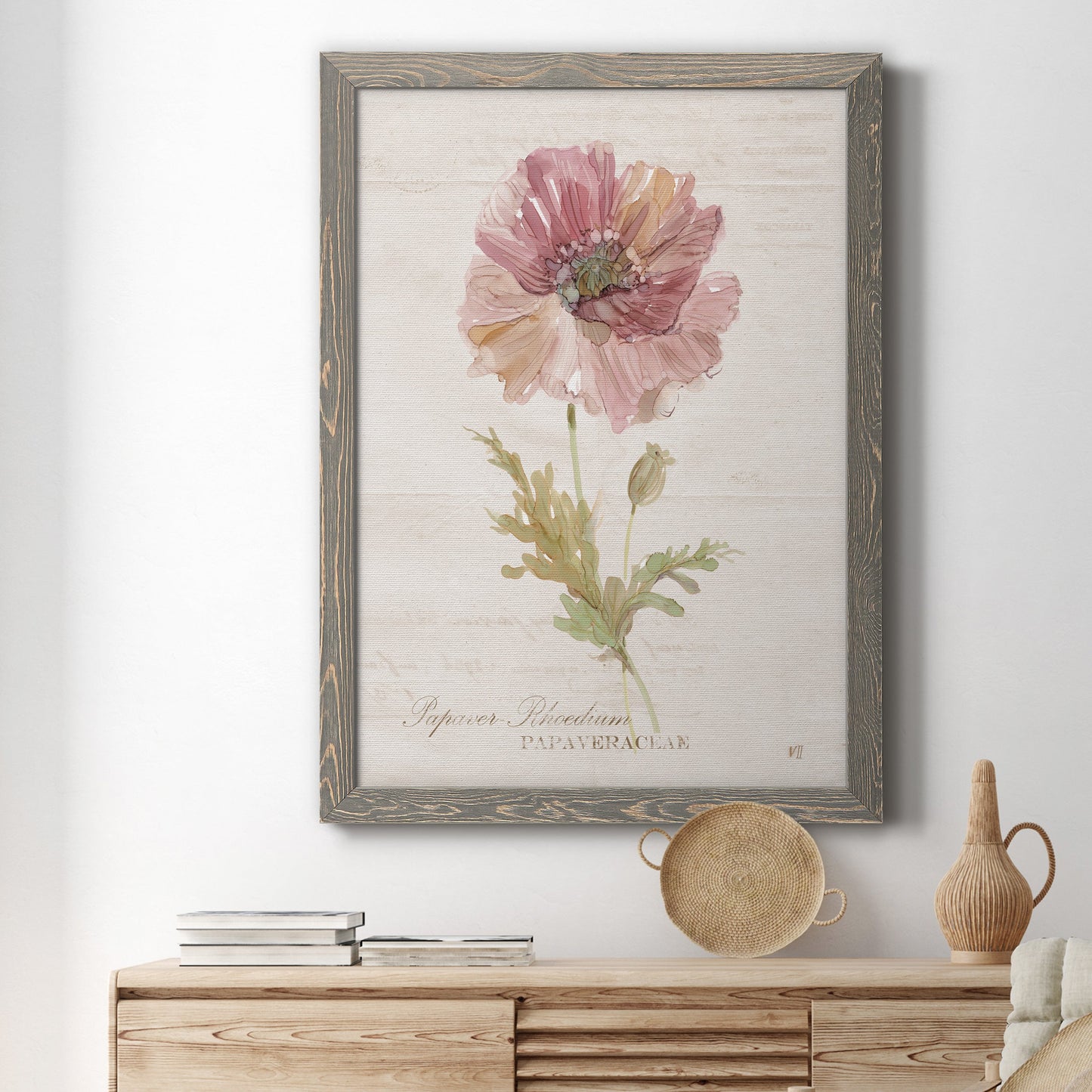 Soft Poppy - Premium Canvas Framed in Barnwood - Ready to Hang