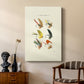 Bass Flies I - Canvas Art Print