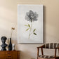 Botanical Beauty I - Canvas Art Print