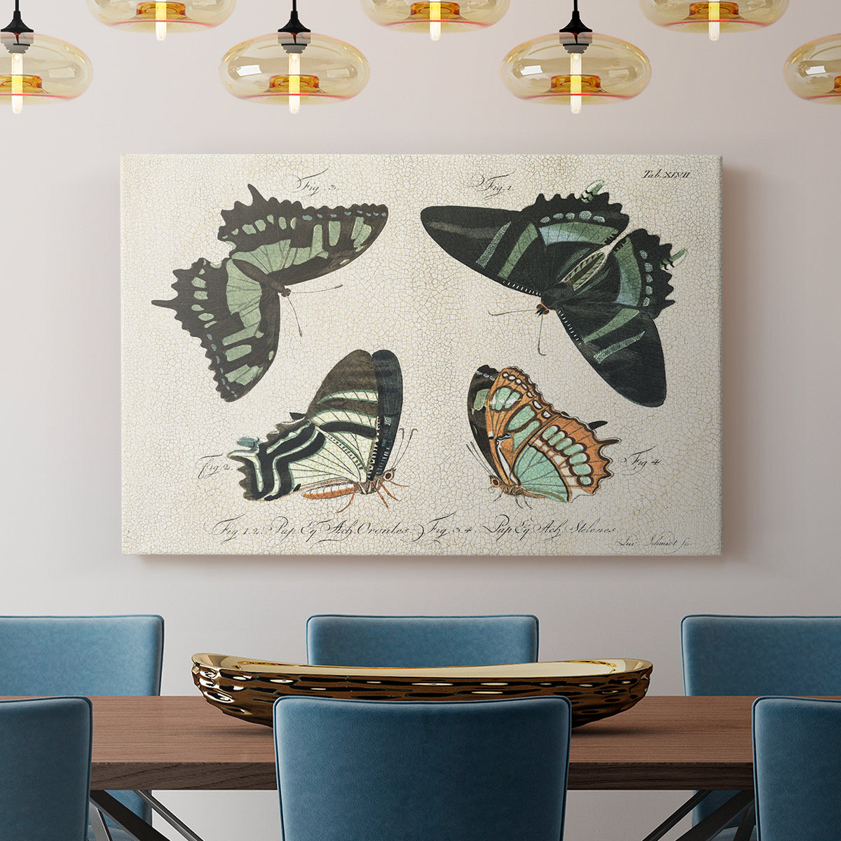 Crackled Butterflies III - Canvas Art Print