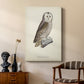 French Owls V - Canvas Art Print
