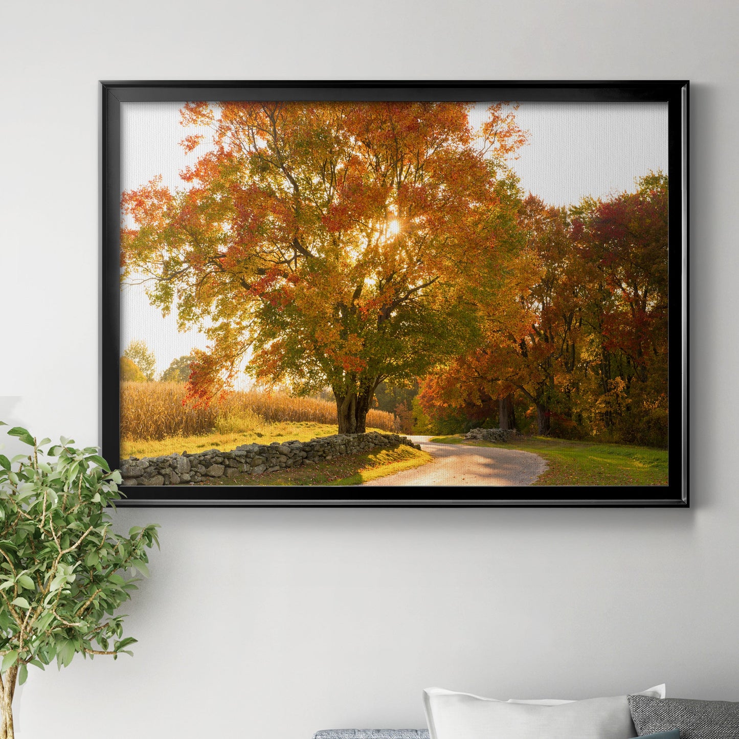 Maple Tree Drive Premium Classic Framed Canvas - Ready to Hang