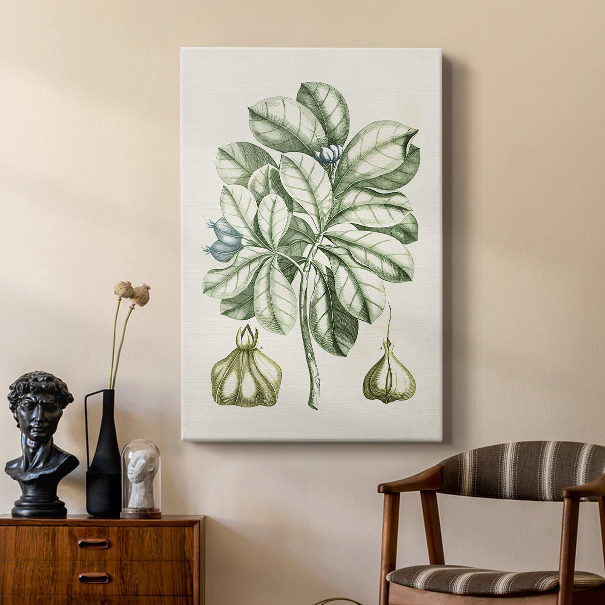 Buchoz Tropicals IX - Canvas Art Print