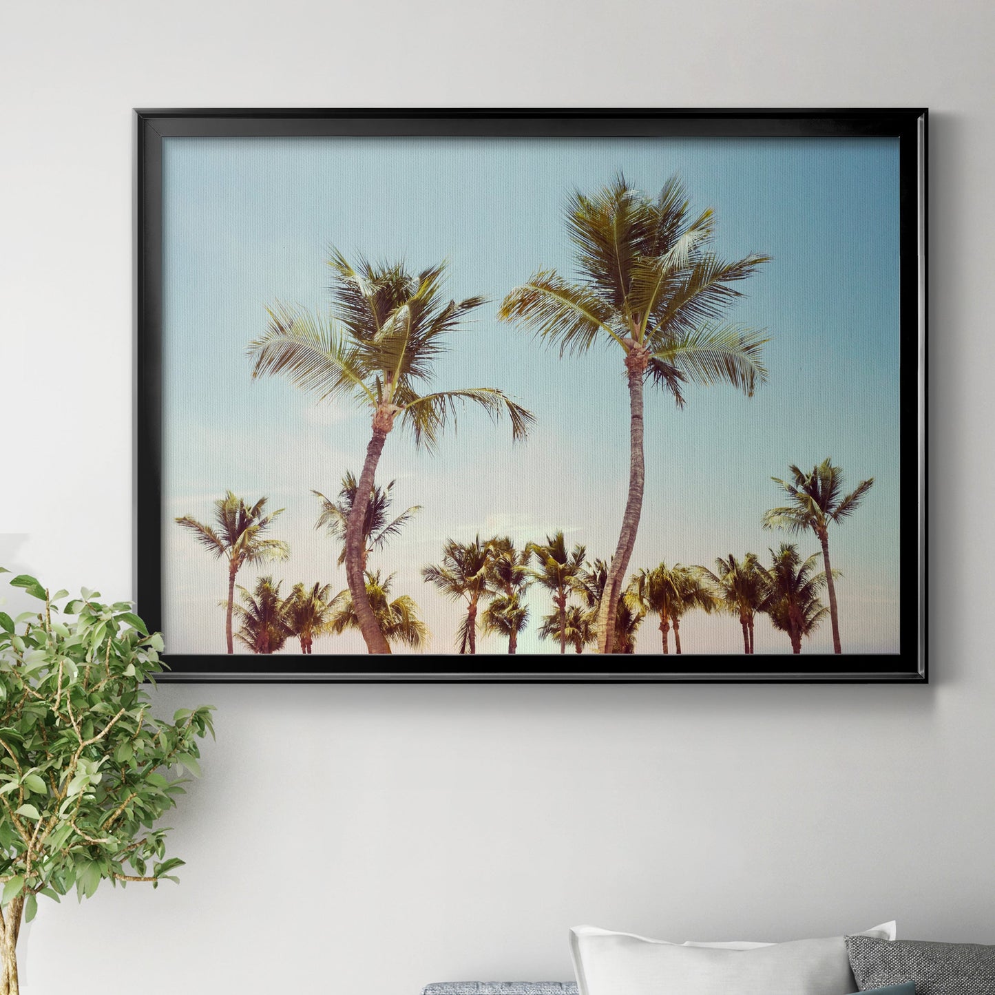 Aruba Palm - Modern Framed Canvas Print