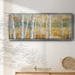 Birch Path II - Floater Framed Canvas Print