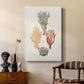 Knorr Shells & Coral IV - Canvas Art Print