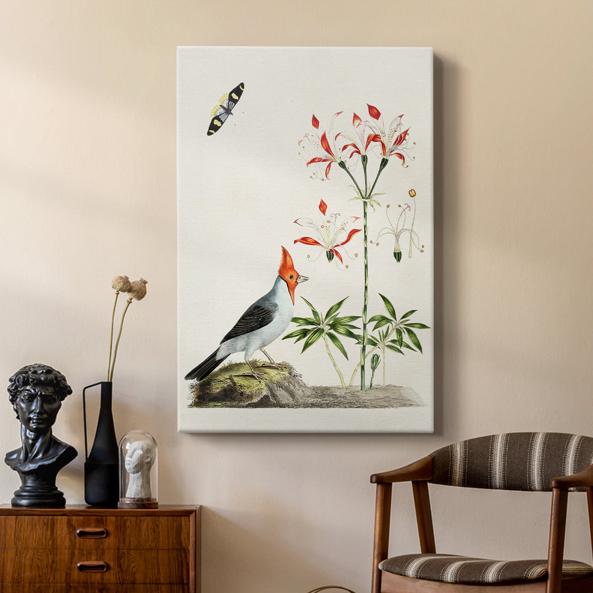 Red-Crested Cardinal and Peruvian Lily, 1796 - Canvas Art Print