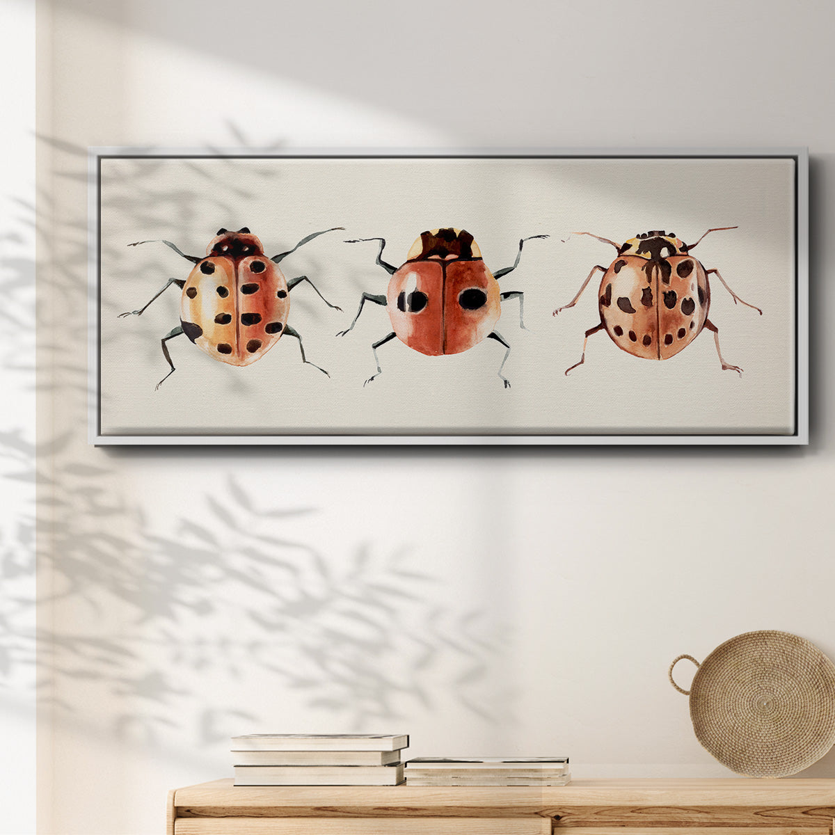 Ladybug Display II - Floater Framed Canvas Print