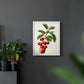 Antique Fruit II - Restickable Framed Art Print