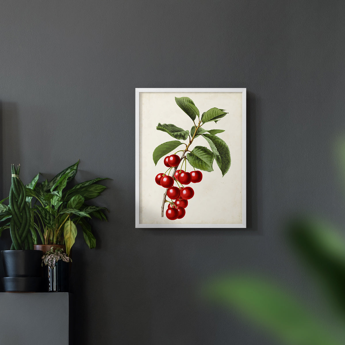 Antique Fruit II - Restickable Framed Art Print