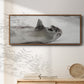 Laughing Seal - Floater Framed Canvas Print