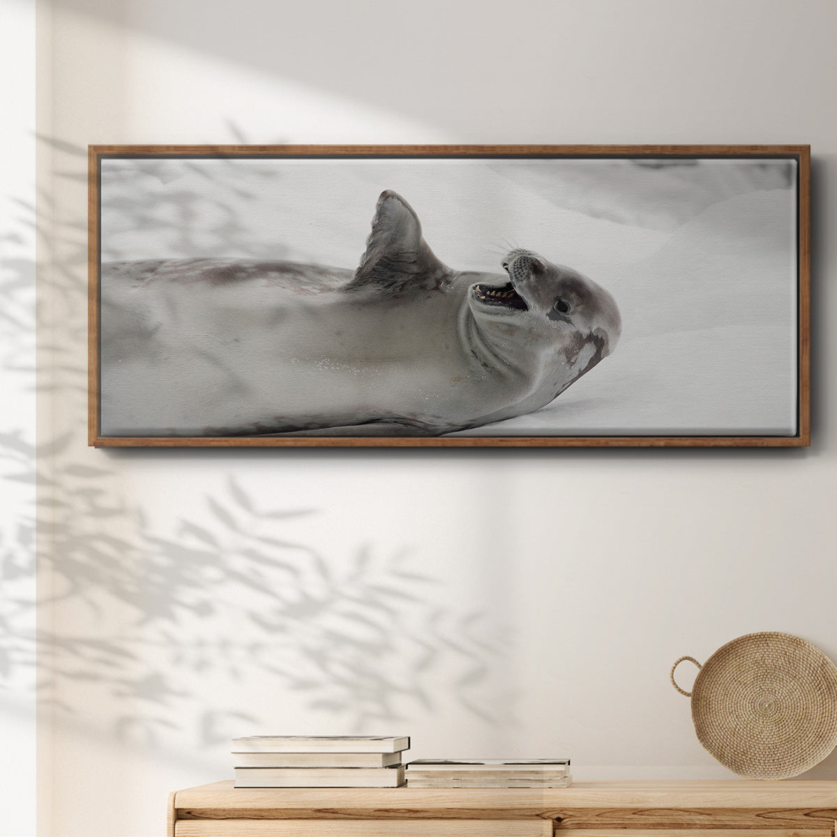 Laughing Seal - Floater Framed Canvas Print