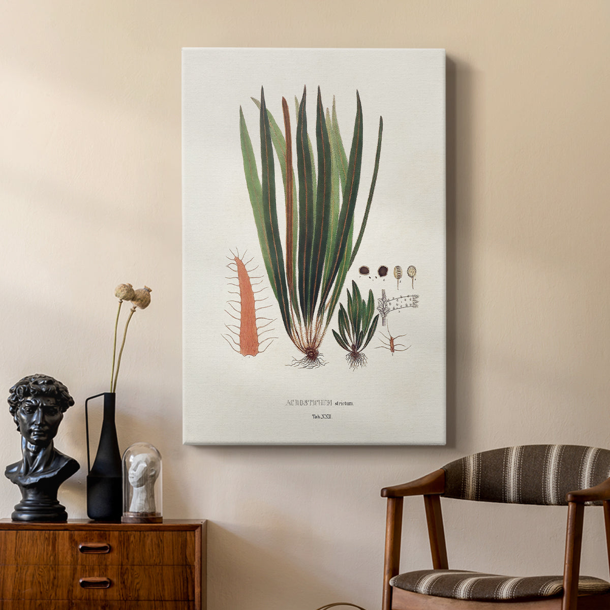 Botanical Society Ferns V - Canvas Art Print