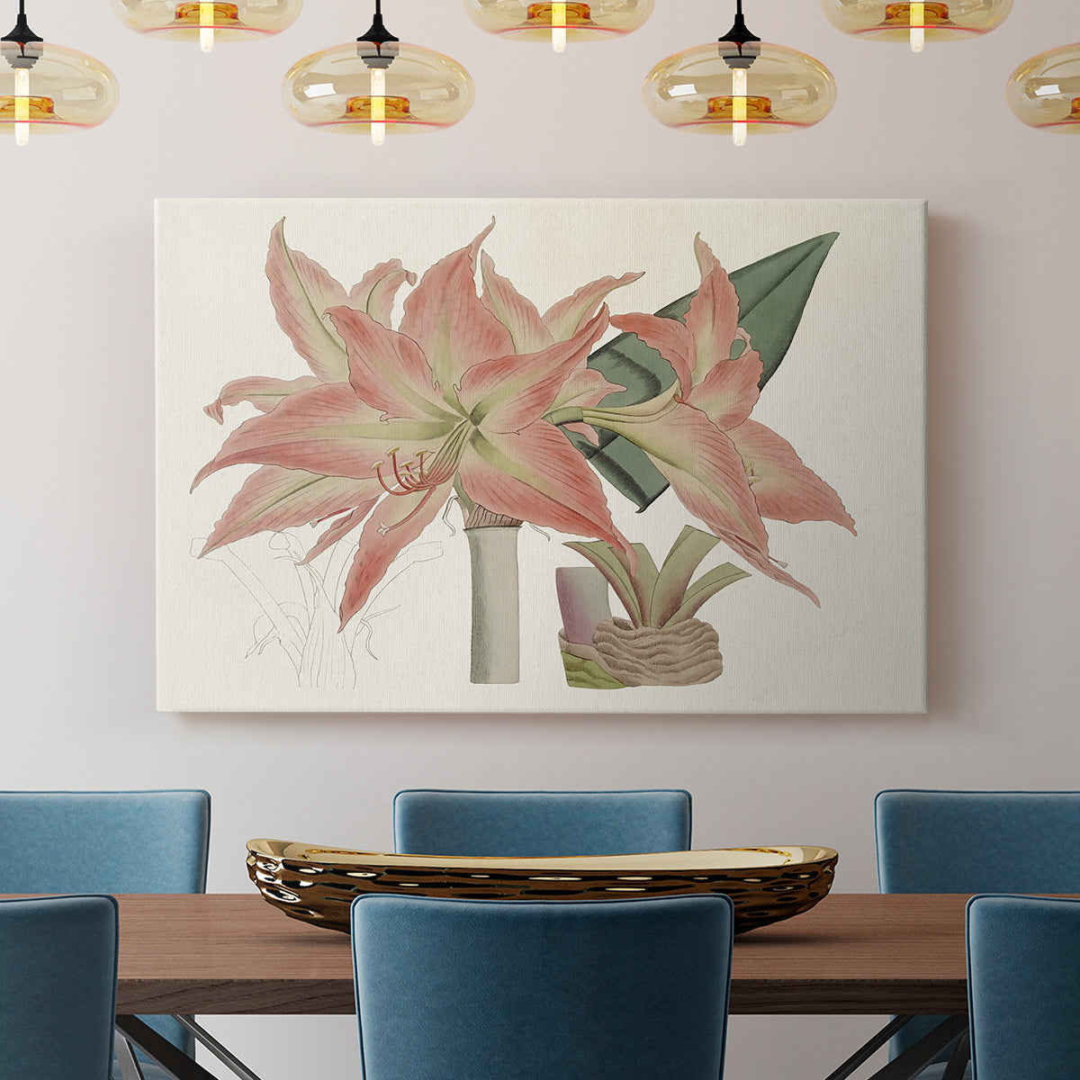 Amaryllis Varietals III - Canvas Art Print