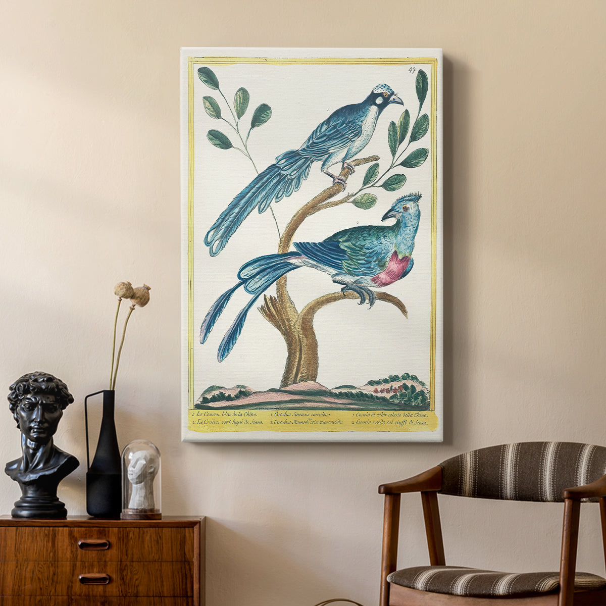 Chinese Blue Cuckoo and Green-Crested Cuckoo, 1771-1775 - Canvas Art Print