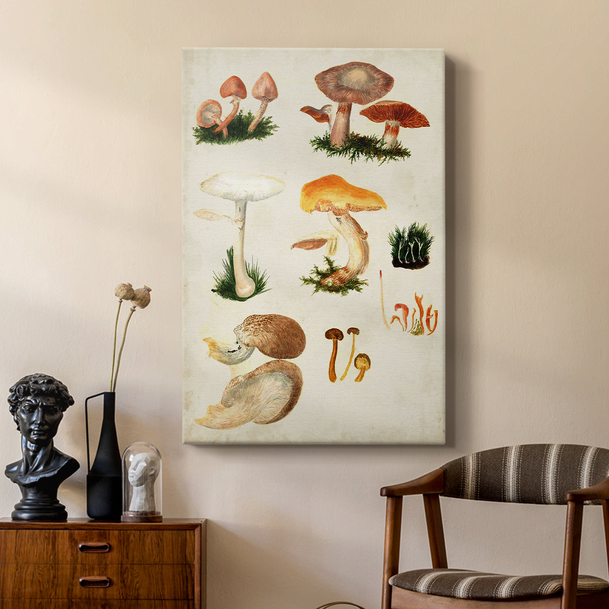 Mushroom Species IV - Canvas Art Print