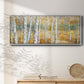 Birch Path II - Floater Framed Canvas Print