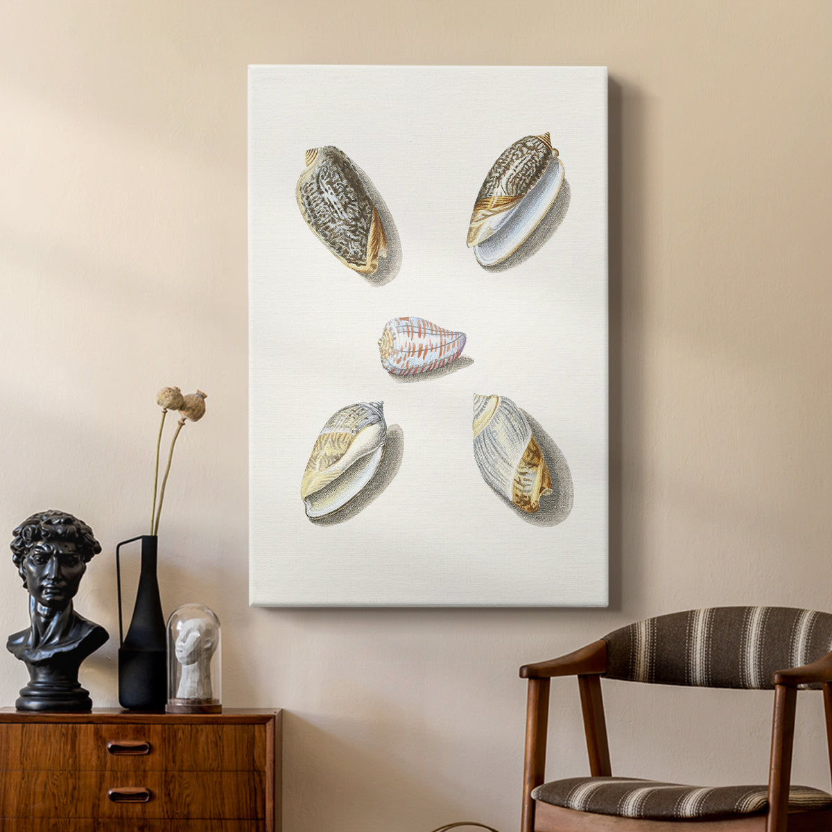 Pastel Knorr Shells III - Canvas Art Print