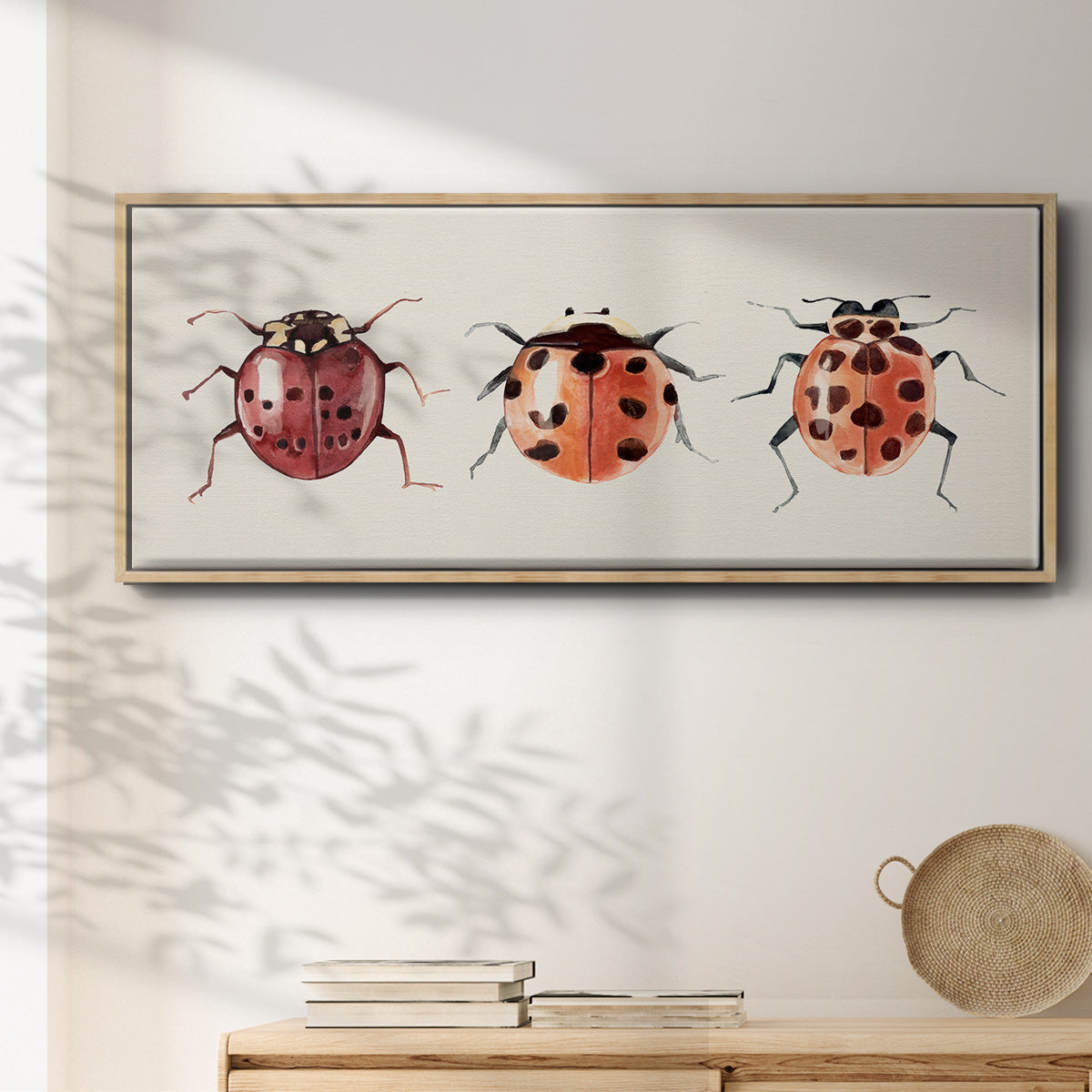 Ladybug Display I - Floater Framed Canvas Print