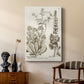 Sepia Botanical Journal IV - Canvas Art Print