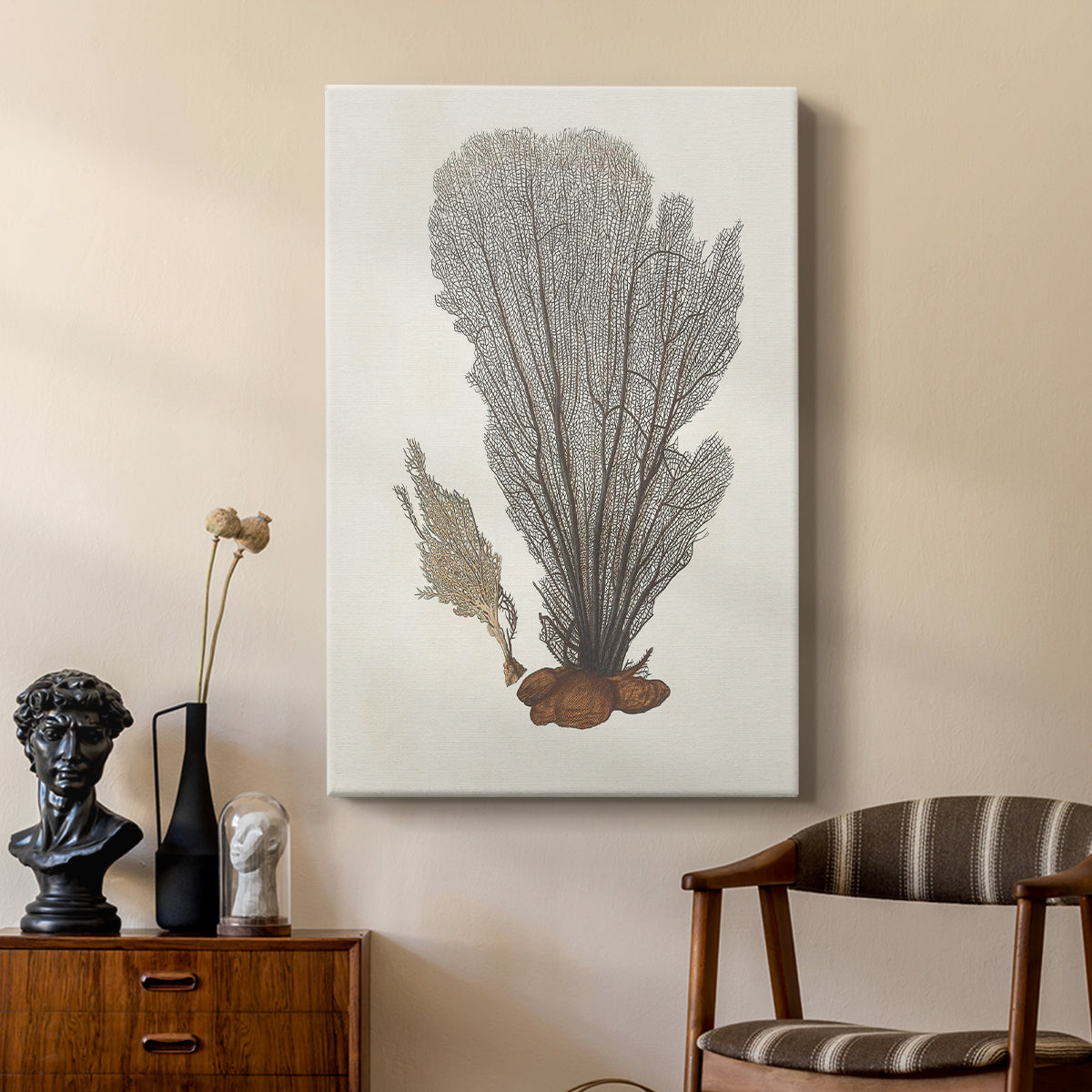 Knorr Shells & Coral III - Canvas Art Print