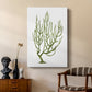 Coral Souvenirs III - Canvas Art Print