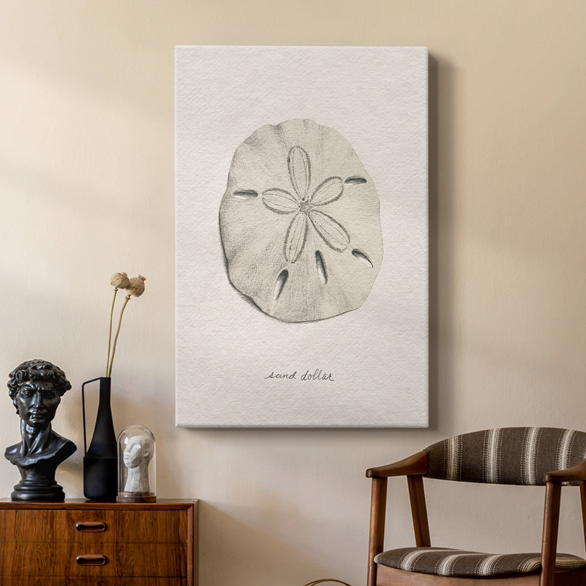Shore Treasure Study III - Canvas Art Print