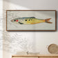 Fanciful Fish I - Floater Framed Canvas Print