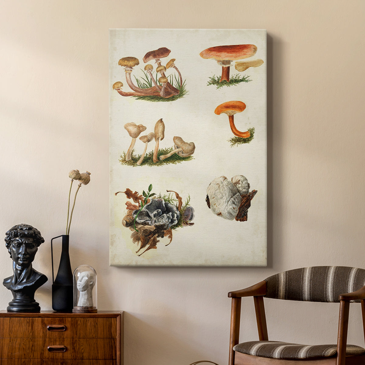 Mushroom Species X - Canvas Art Print