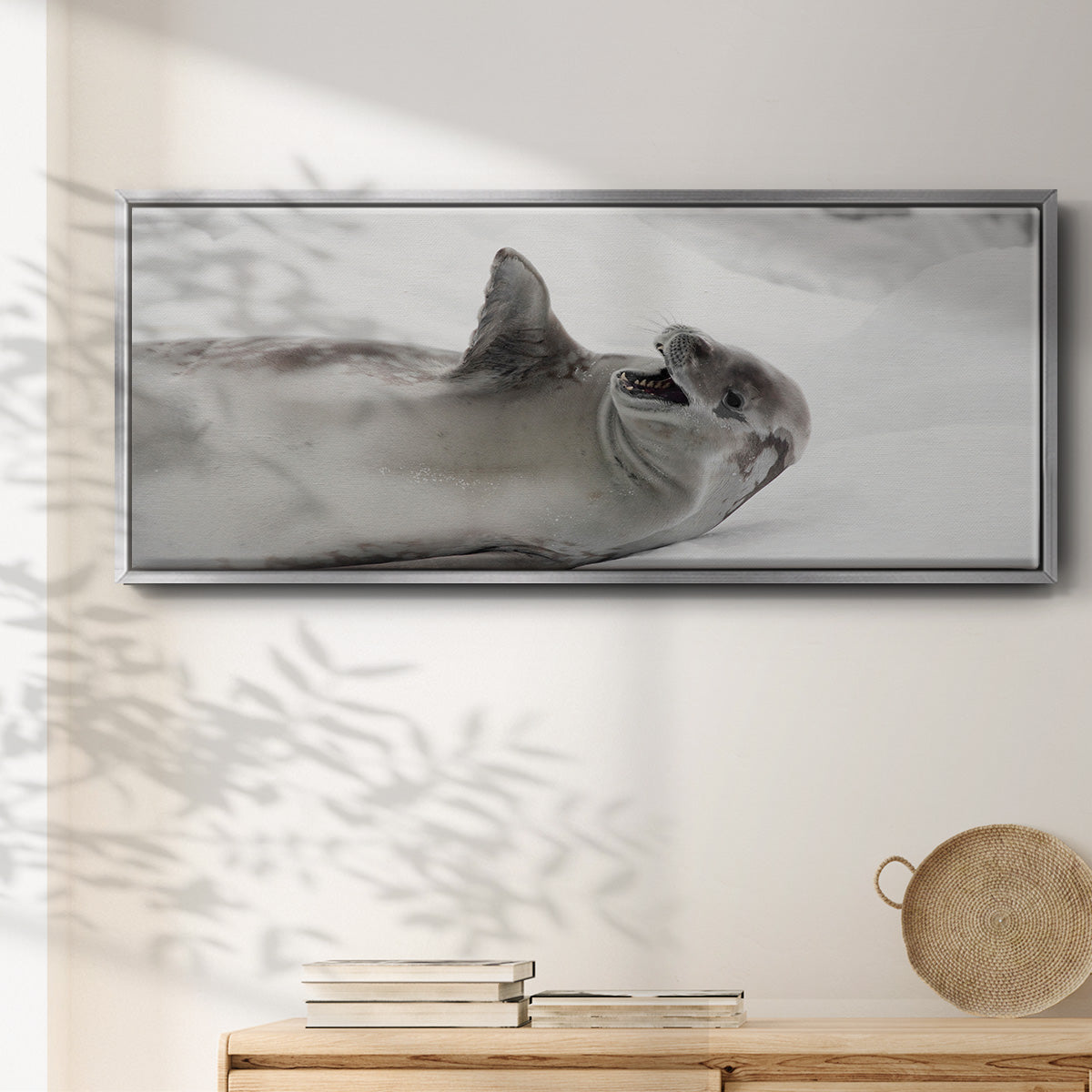 Laughing Seal - Floater Framed Canvas Print