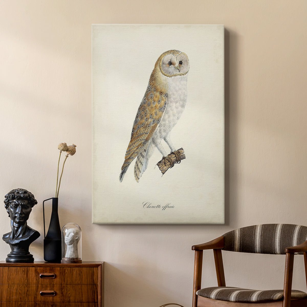 French Owls VI - Canvas Art Print