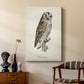 French Owls III - Canvas Art Print
