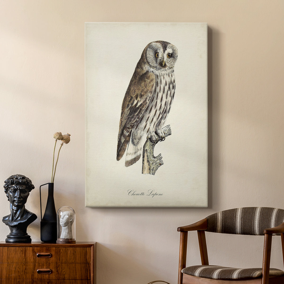 French Owls III - Canvas Art Print