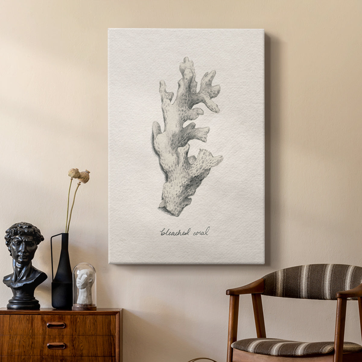Shore Treasure Study II - Canvas Art Print
