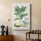 Buchoz Tropicals IV - Canvas Art Print