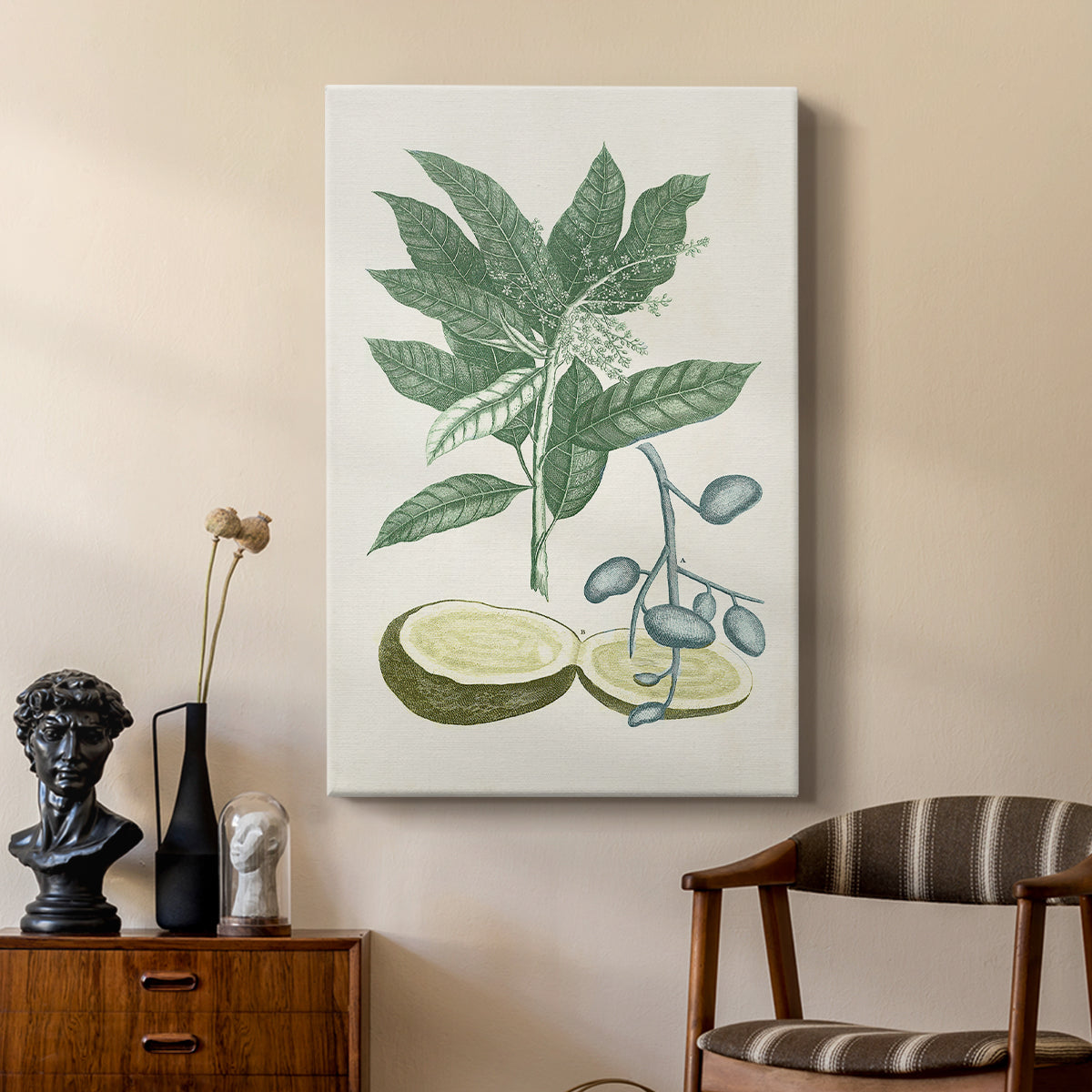 Buchoz Tropicals IV - Canvas Art Print
