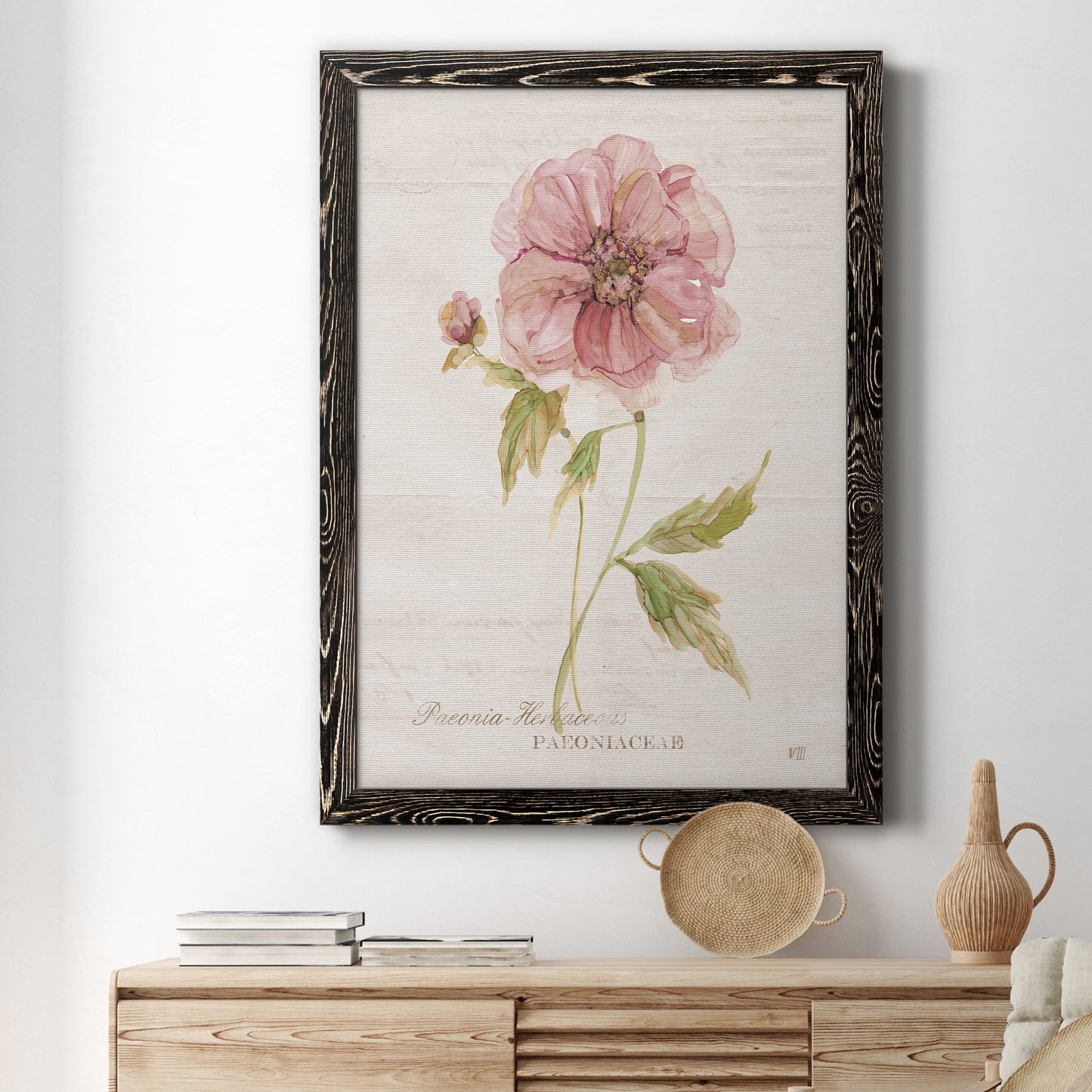 Soft Peony - Premium Canvas Framed in Barnwood - Ready to Hang