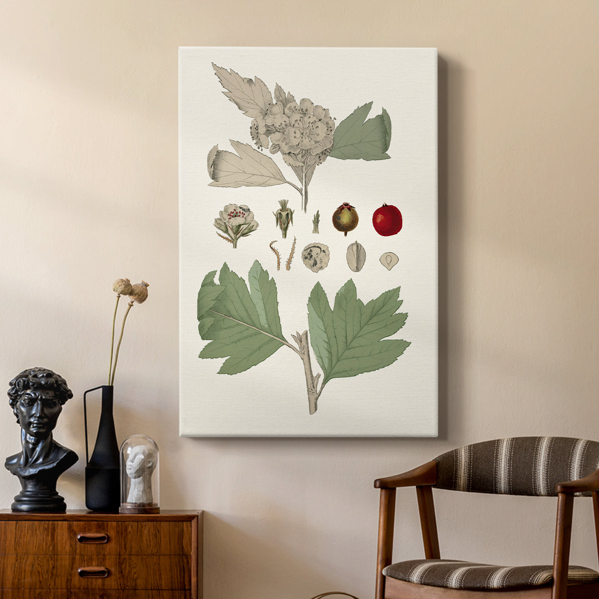 Leaves & Berries IV - Canvas Art Print