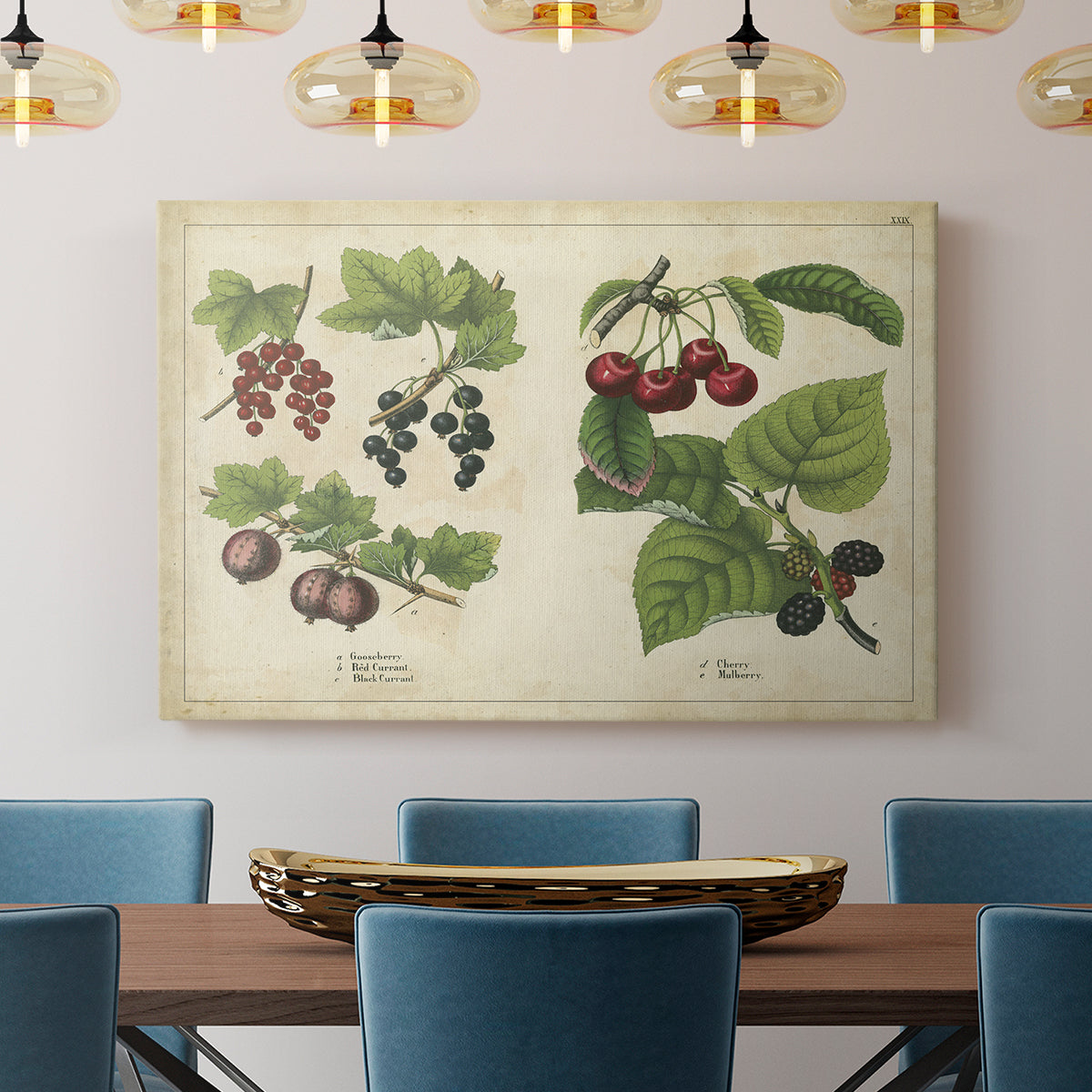 Berries and Currants - Canvas Art Print