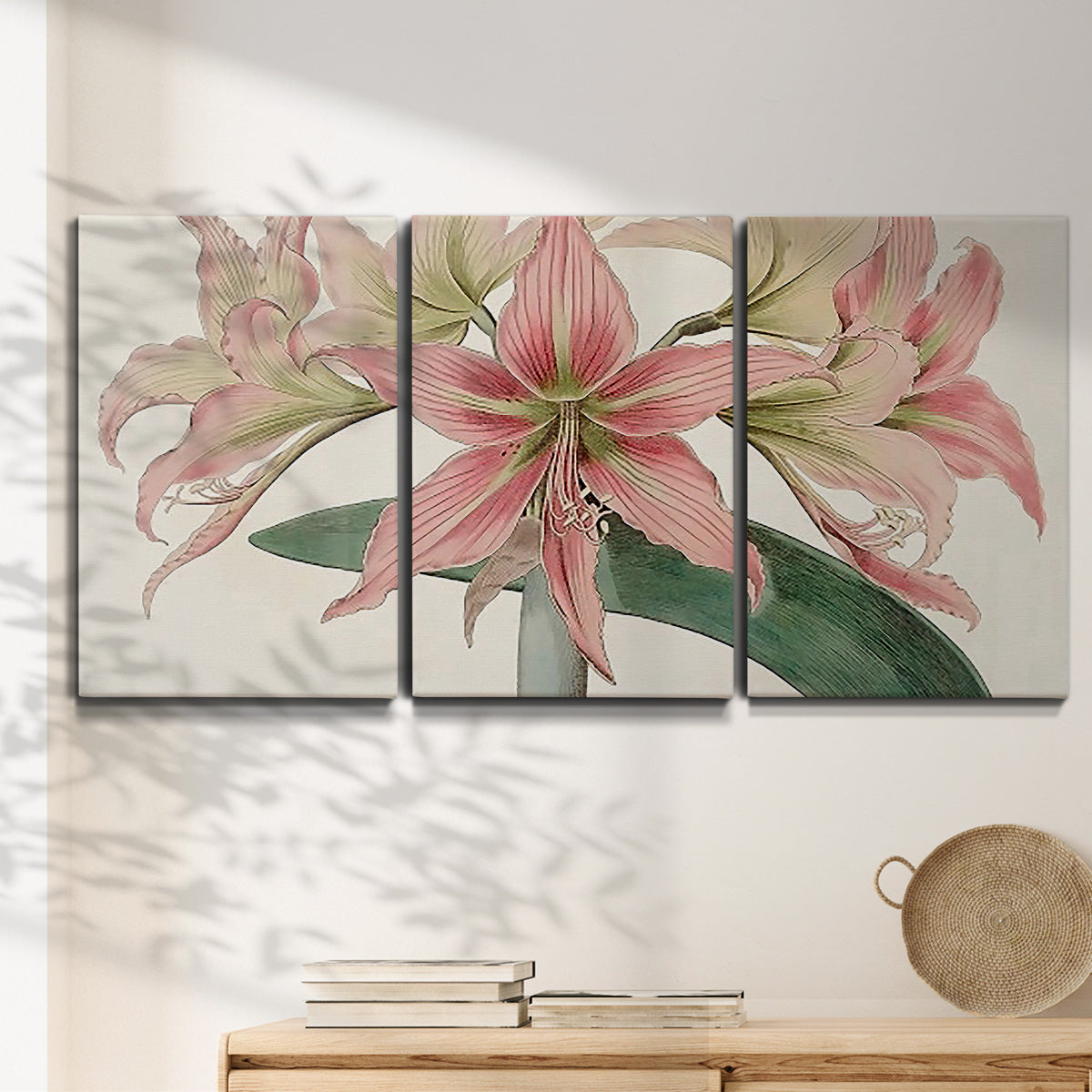 Three-panel canvas wall art featuring vintage styled amaryllis floral study, displayed in a minimalist living room above a console table.