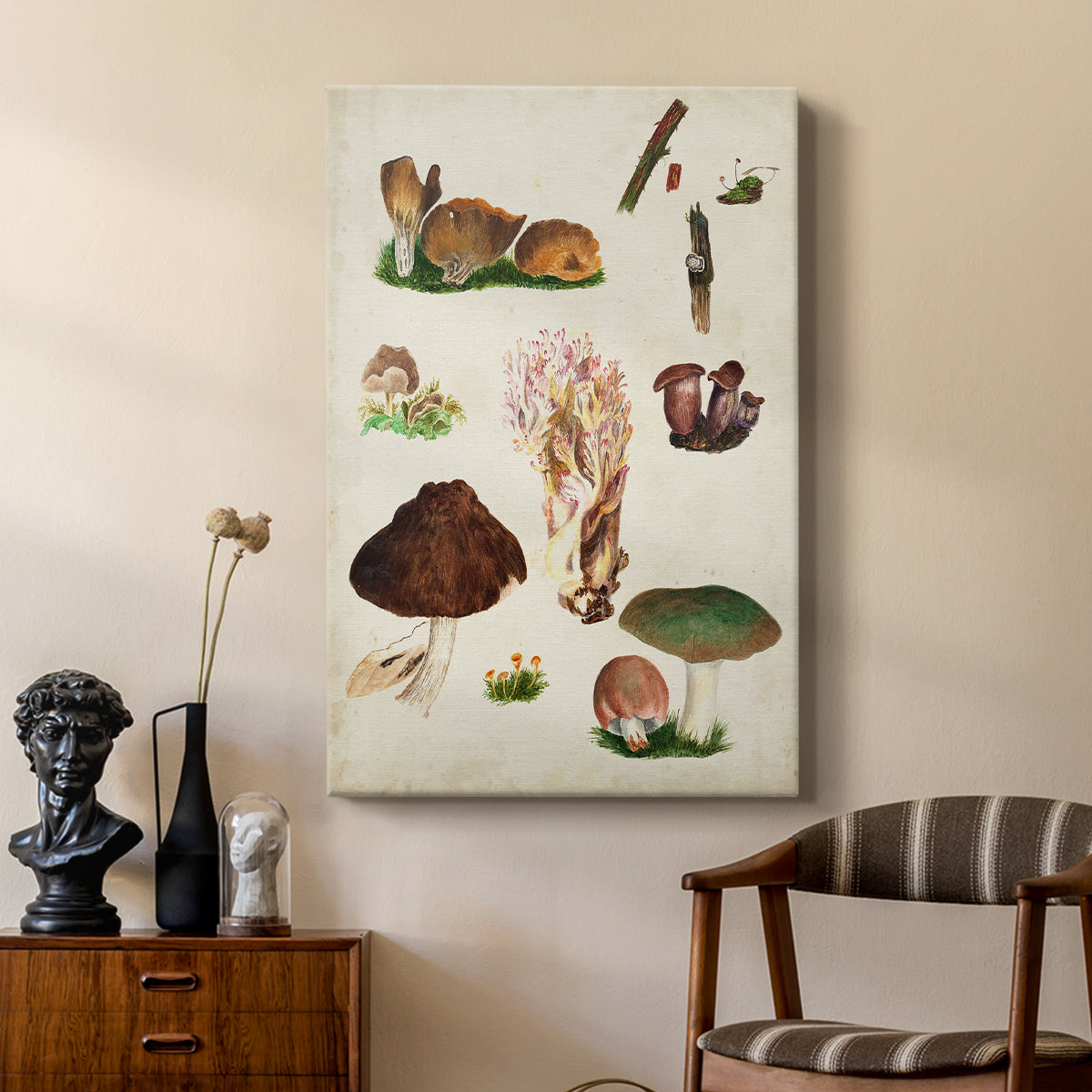 Mushroom Species IX - Canvas Art Print