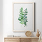 Eucalyptus II - Premium Canvas Framed in Barnwood - Ready to Hang