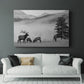 Mountain Elk - Canvas Art Print