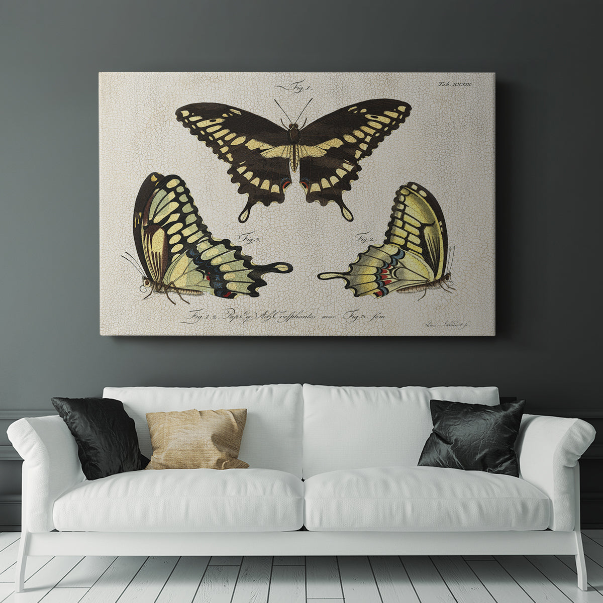 Crackled Butterflies I - Canvas Art Print