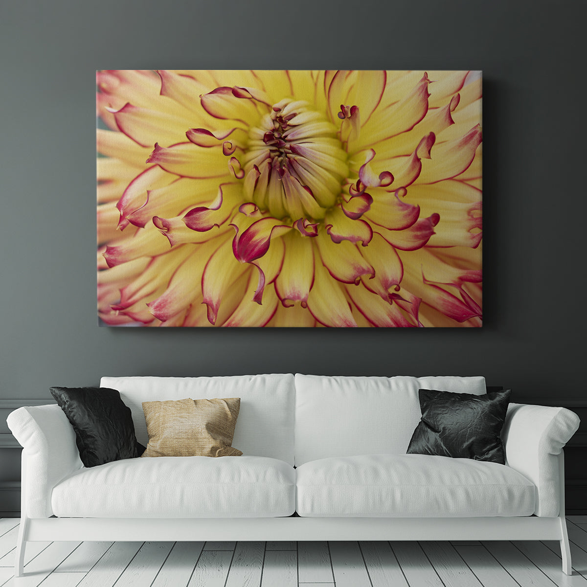 Blooms II - Canvas Art Print