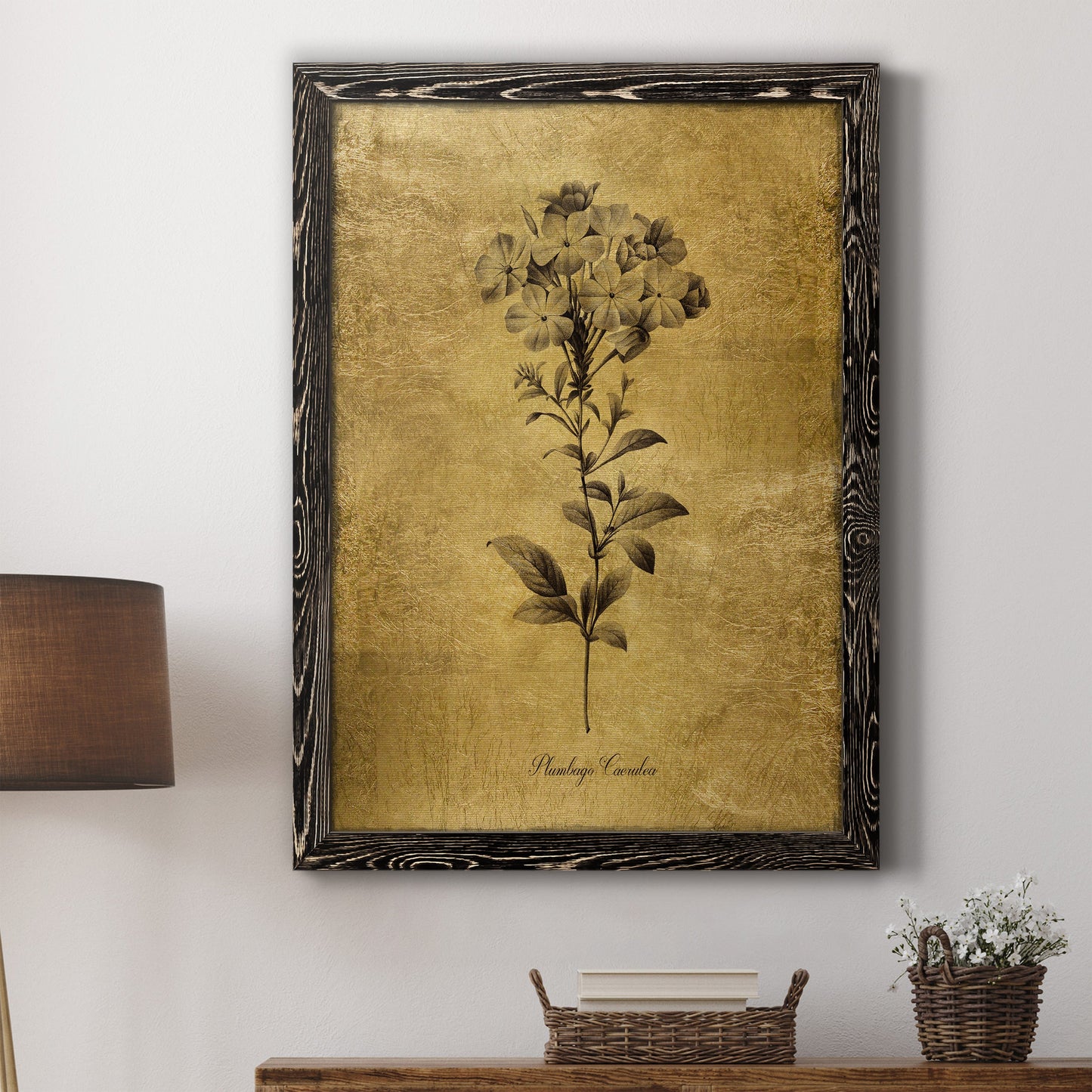 Gold Sketch Botanical II - Premium Canvas Framed in Barnwood - Ready to Hang