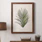 Palm Botanical I - Premium Canvas Framed in Barnwood - Ready to Hang