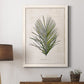 Palm Botanical I - Premium Canvas Framed in Barnwood - Ready to Hang