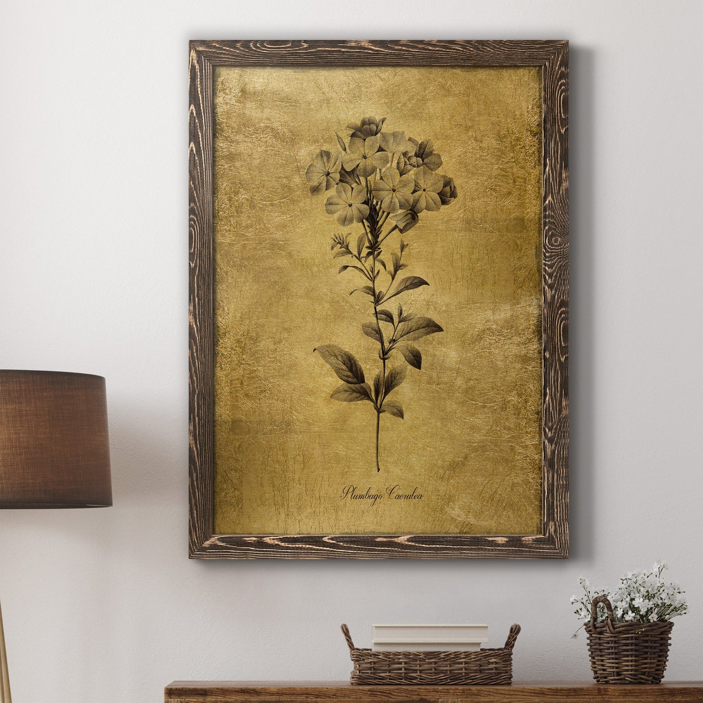 Gold Sketch Botanical II - Barnwood Framed Canvas Print