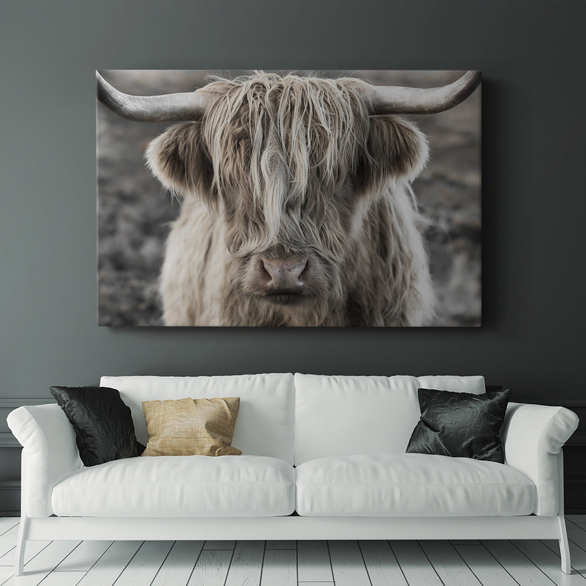 Highland cow with long hair showing expression in moody landscape during early morning light